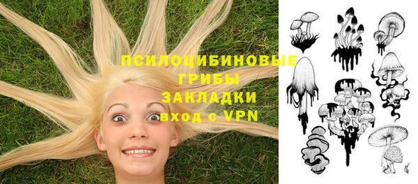 эйфоретик Аркадак
